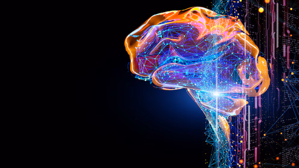 La química del agotamiento: ¿por qué el cerebro se fatiga tras pensar demasiado?