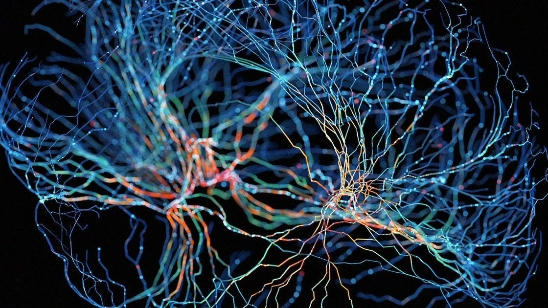 Redes neuronales: imitando el cerebro humano en tecnología